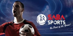 Memahami Dinamika Tim dalam Saba Sport